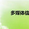 多媒体信息系统（多媒体互动系统）