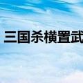 三国杀横置武将牌是什么意思（三国杀横置）