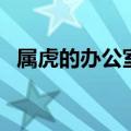 属虎的办公室风水（属虎办公室风水布局）