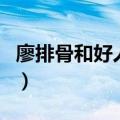 廖排骨和好人家卤料哪个好吃（廖排骨好吃吗）