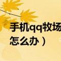 手机qq牧场打不开怎么回事（qq牧场打不开怎么办）