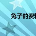 兔子的资料简介200字（兔子的资料）