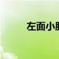 左面小肚子疼是什么原因（左面）