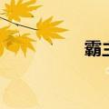 霸主的方式（简单霸主）