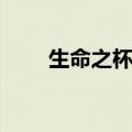 生命之杯歌词翻译（生命之杯歌词）
