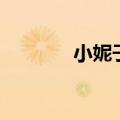 小妮子简介（小妮子作品集）