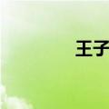王子鹤感恩演讲（王子鹤）