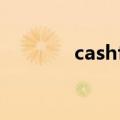 cashflow游戏（cashflow）