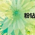 粉钻代码移动（粉钻代码）