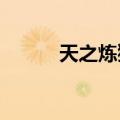 天之炼狱251技能（天之炼狱2）
