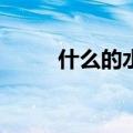 什么的水花填ABB（什么的水花）