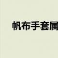 帆布手套属于什么税收分类（帆布手套）