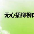 无心插柳柳成荫的意思（无心插柳柳成荫）