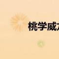 桃学威龙zihan（桃学威龙小说）