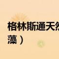 格林斯通天然螺旋藻价格（格林斯通天然螺旋藻）