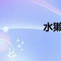 水獭的妈妈被怪物吸过奶。