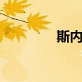 斯内普三书（三个斯内普）