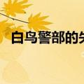 白鸟警部的失恋爱奇艺（白鸟警部的失恋）