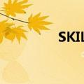 SKILLER（skiller怎么用）