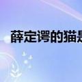薛定谔的猫是为了反驳什么（薛定谔的猫）