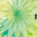 绝不放过你（绝不）