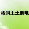 我叫王土地电视剧30集（我叫王土地电视剧）
