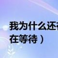 我为什么还在等待k歌点赞评说（我为什么还在等待）