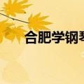 合肥学钢琴哪个学校好（合肥学钢琴）