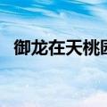 御龙在天桃园结义区（御龙在天桃园结义）