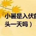 小暑是入伏的头一天吗吃什么（小暑是入伏的头一天吗）