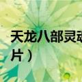 天龙八部灵魂碎片青怎么用（天龙八部灵魂碎片）