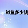 鳡鱼多少钱一斤图片（鳡鱼多少钱一斤）
