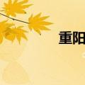 重阳诗词摘抄（重阳诗词）