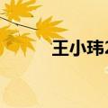 王小玮2婚（王小玮原来结过婚）