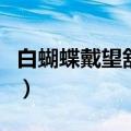白蝴蝶戴望舒空白之页指什么（白蝴蝶戴望舒）