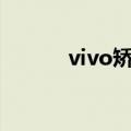 vivo矫正电池指令（电池指令）
