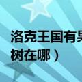 洛克王国有果树的地方在哪（洛克王国可可果树在哪）
