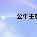 公牛王朝拿过几连冠（公牛王朝）