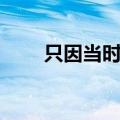 只因当时太爱你（只因当时太爱你）