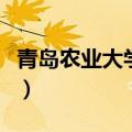 青岛农业大学专业注册费（青岛农业大学专业）