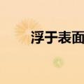 浮于表面的意思（虚有外表的意思）