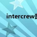 intercrew是什么牌子衣服（intercrew）