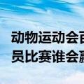 动物运动会百米赛跑（北极熊和百米赛跑运动员比赛谁会赢）