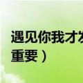 遇见你我才发现你对我有多重要（你对我有多重要）
