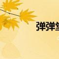 弹弹堂老板（弹弹堂工作狂）