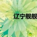 辽宁舰舰载机数量（辽宁舰舰载机）