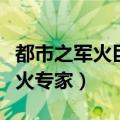 都市之军火巨头小说在线阅读（小说都市之军火专家）