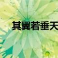 其翼若垂天之云拼音（其翼若垂天之云）