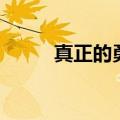 真正的勇敢是什么（勇敢是什么）