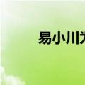 易小川为什么不救项羽（易小川）